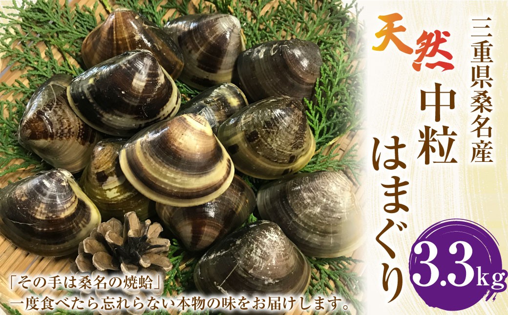 【指定日必須】【配送不可地域有】マルヨシ水産 桑名産中粒天然蛤 3.3kg（約85～90個）はまぐり ハマグリ 魚介 貝 魚貝 活はまぐり 焼きはま 海鮮 網焼き 酒蒸し お吸い物 パエリア パスタ