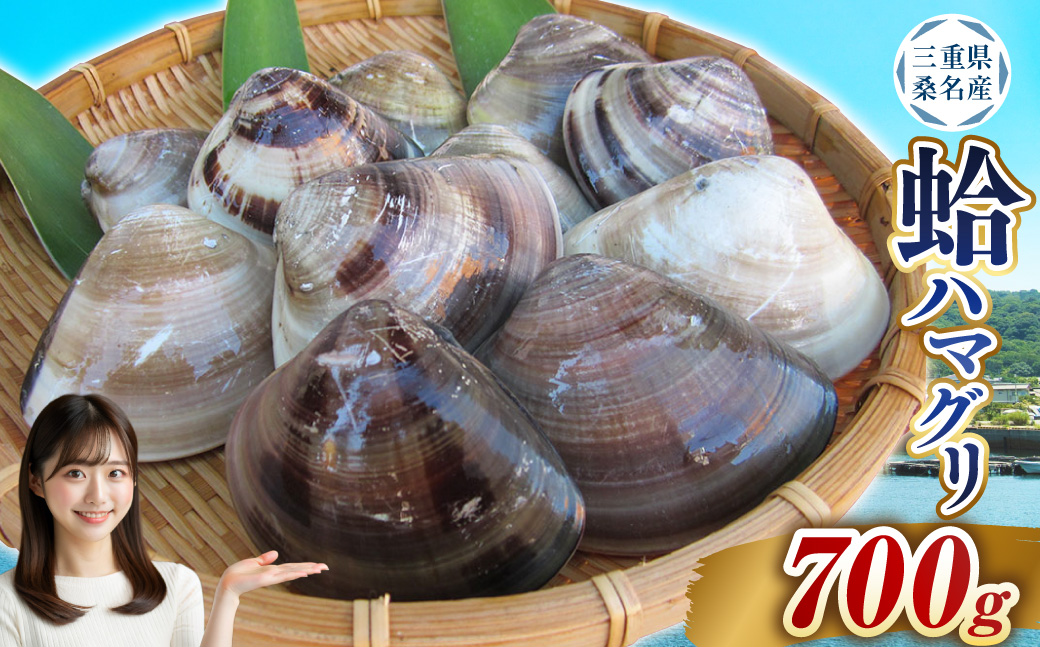【指定日必須】 丸元水産 桑名産蛤 (ハマグリ) 0.7kg はまぐり 魚介 貝 魚貝 活はまぐり 焼きはま 海鮮 網焼き 酒蒸し お吸い物 パエリア パスタ 【2025年9月下旬から2026年6月下旬発送予定】