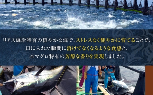 螂・螻ア螳芽鳩蝠蠎 髴憺剄繧頑悽魄ェ 縺ソ縺医∪縺舌m 邏800g 縺セ縺舌m 繝槭げ繝ュ 魄ェ 譛ャ魄ェ 鬲 鬲壻サ 鬲壻サ矩。 鬲夐。 豬キ魄ョ 髴憺剄繧 襍、霄ォ 荳ュ繝医Ο 螟ァ繝医Ο 蛻コ霄ォ 蟇ソ蜿ク 縺吶@ 繧ケ繧キ 繝槭げ繝ュ荳シ 縺翫°縺 縺翫▽縺セ縺ソ 譎ゥ驟 蜀キ蜃