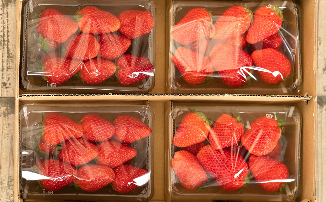 のらくら農園の新鮮いちごA 合計1000g （250g×4パック） 【指定日必須】 【2026年2月下旬迄発送予定】 ／ いちご イチゴ 苺 章姫 パック 果物 くだもの フルーツ 冷蔵 三重県 桑名市