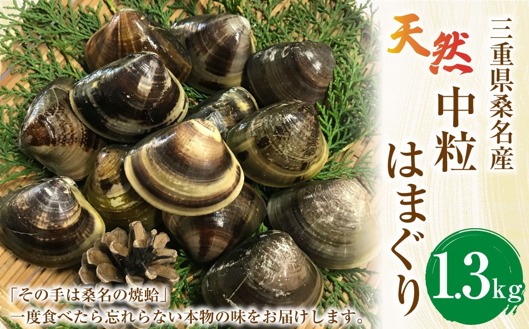 【指定日必須】マルヨシ水産 桑名産中粒天然蛤 1.3kg_はまぐり ハマグリ 魚介 貝 魚貝 活はまぐり 焼きはま 海鮮 網焼き 酒蒸し お吸い物 パエリア パスタ