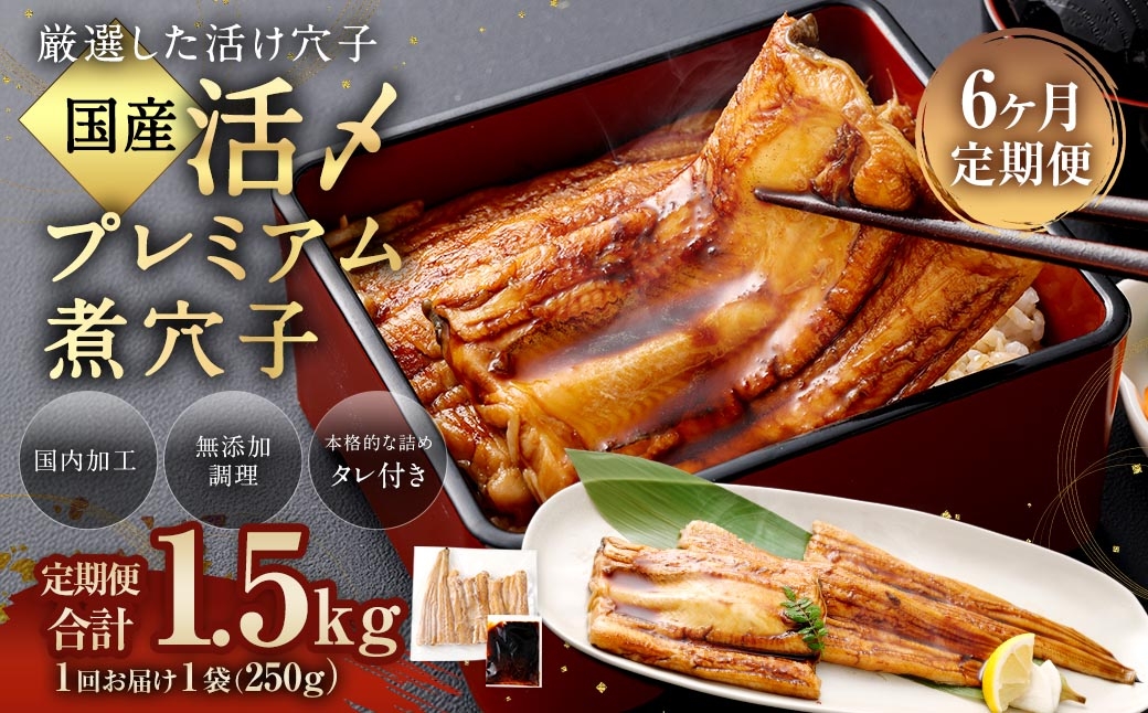【 6ヶ月定期便 】 国産活〆 プレミアム煮穴子 250g （ 250g × 1袋 ） タレ （ 50g ） 付 魚 魚類 お魚 穴子 アナゴ あなご 魚料理 冷凍 保存料不使用 着色料不使用 添加物不使用
