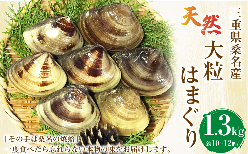 【指定日必須】【配送不可地域有】マルヨシ水産 桑名産大粒天然蛤 1.3kg（約10～12個）はまぐり ハマグリ 魚介 貝 魚貝 活はまぐり 焼きはま 海鮮 網焼き 酒蒸し お吸い物 パエリア パスタ