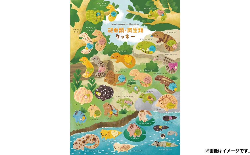 【 卵不使用 】 kurimaro collection 爬虫類 ・ 両生類クッキーアートギフトセット （ 3枚入 ） お菓子 菓子 おかし おやつ 洋菓子 焼菓子 クッキー アート ギフト 可愛い クッキーアート クリエイター セット プレゼント