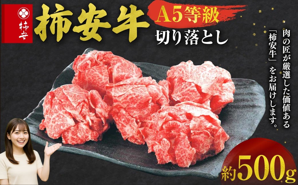 【指定日必須】柿安本店　三重　柿安牛　切り落とし 約500g　黒毛和牛　国産　牛肉　赤身　厳選　上質　逸品　グルメ　すきやき　aa02