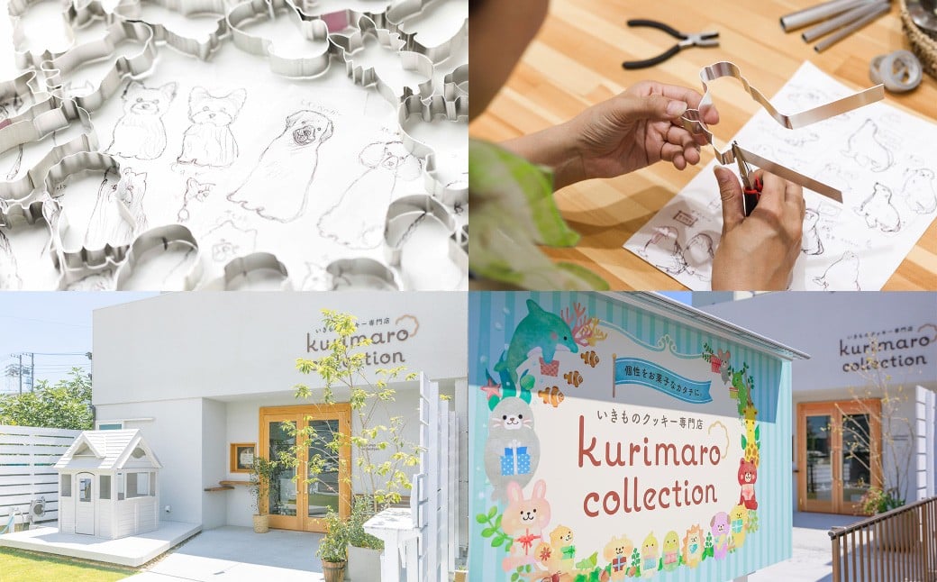 【卵不使用】【絶滅危惧種】 コアジサシ子育てセット クッキーアート ギフトセット クッキー 可愛い かわいい 焼き菓子 プレゼント 動物 どうぶつ 常温 鳥 野鳥 環境活動 三重県 桑名市