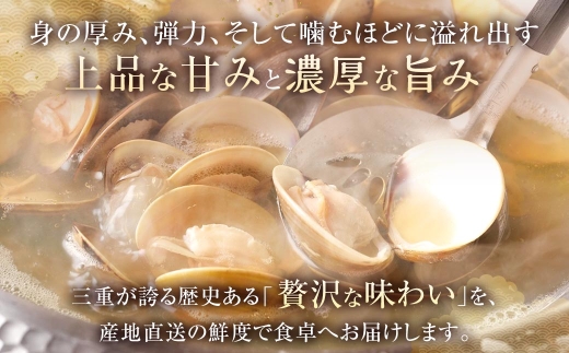 奥山安蔵商店 はまぐり 約1.5kg 特製だし汁付き 蛤 貝 魚介 魚介類 海鮮 地はまぐり 希少 出汁 酒蒸し 焼きはまぐり 産地直送 冷蔵