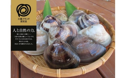 a*92　丸元水産　桑名産蛤(ハマグリ)0.7kg_はまぐり　魚介　貝