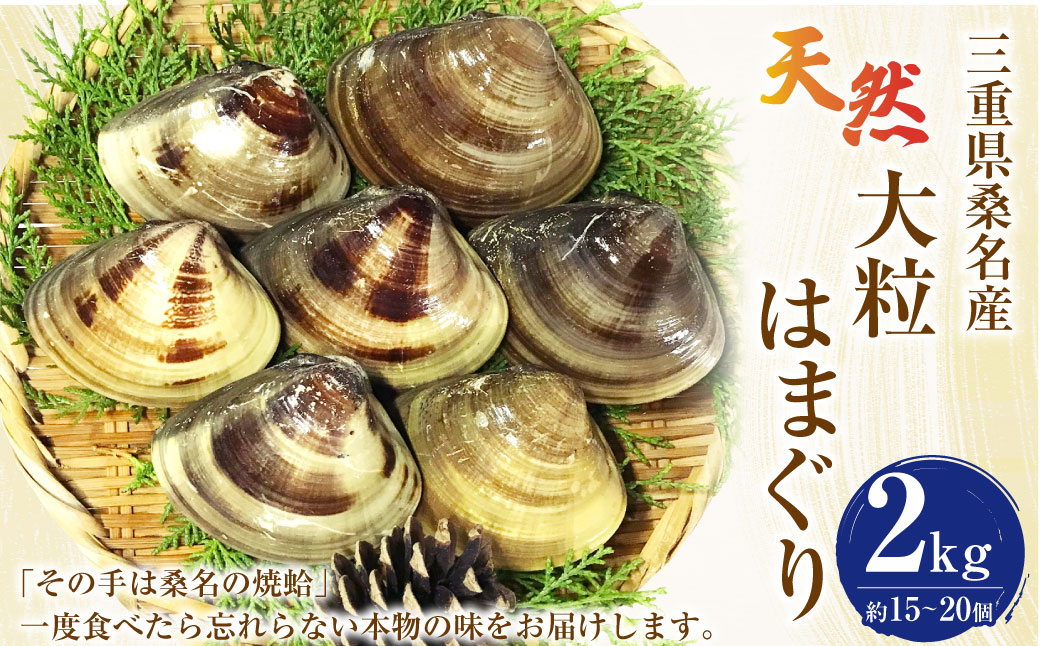 【指定日必須】【配送不可地域有】マルヨシ水産 桑名産大粒天然蛤 2kg（約15～20個）はまぐり ハマグリ 魚介 貝 魚貝 活はまぐり 焼きはま 海鮮 網焼き 酒蒸し お吸い物 パエリア パスタ