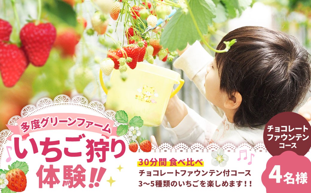 多度グリーンファーム いちご狩り体験 4名様 ／ 体験 経験 いちご狩り チョコレートファウンテン いちご イチゴ 苺