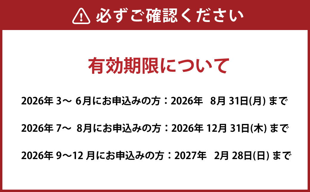ナガシマ リゾート ナガシマ スパーランド パスポート券  大人2名 【有効期限有り】 遊園地 テーマパーク 人気 絶叫 アトラクション ファミリー 観光 レジャー チケット 三重県 桑名市 長島