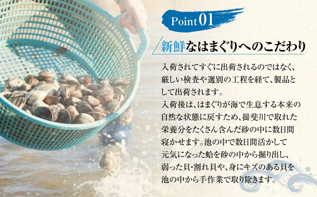 【指定日必須】マルヨシ水産　桑名産中粒天然蛤　1kg_はまぐり　ハマグリ　魚介　貝　魚貝　活はまぐり　焼きはま　海鮮　網焼き　酒蒸し　お吸い物　パエリア　パスタ