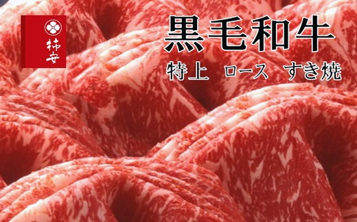 柿安本店　黒毛和牛ロースすき焼　切りおとし500g　国産　牛肉　赤身　ロース　厳選　上質　逸品　グルメ　すきやき　b_41