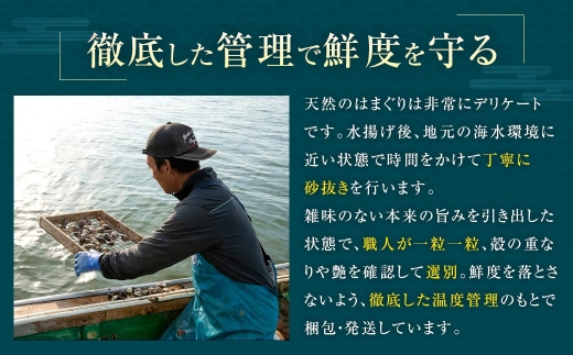奥山安蔵商店 はまぐり 約500g 特製だし汁付き 蛤 貝 魚介 魚介類 海鮮 地はまぐり 希少 出汁 酒蒸し 焼きはまぐり 産地直送 冷蔵