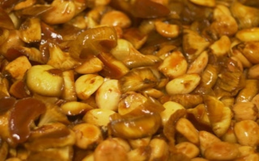 有機植物発酵エキスの酵素ドリンク 【Natural FLORA】 500ml×2本 有機野菜 野菜 有機果物 果物 33種類 酵素原液100％ 飲料 ドリンク 常温