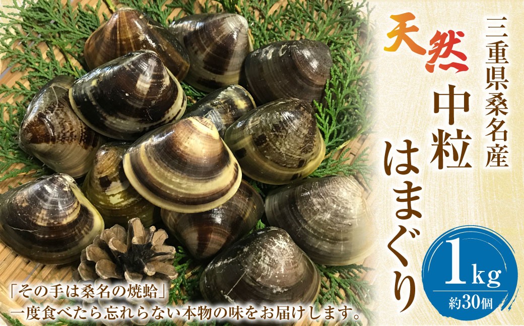 【指定日必須】マルヨシ水産 桑名産中粒天然蛤 1kg_はまぐり ハマグリ 魚介 貝 魚貝 活はまぐり 焼きはま 海鮮 網焼き 酒蒸し お吸い物 パエリア パスタ
