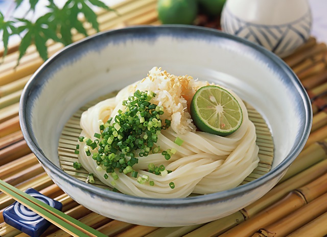 a*99　陣田屋商店　ざるうどん（半生麺）つけめん（生ラーメン）そうめん（乾麺）の3種類セット