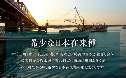 奥山å®èµååº ã¯ãŸãã çŽ1kg ç¹è£œã ãæ±ä»ã è€ è² éä» éä»é¡ æµ·é®® å°ã¯ãŸãã åžå° åºæ± é
èžã çŒãã¯ãŸãã ç£å°çŽé å·èµ
