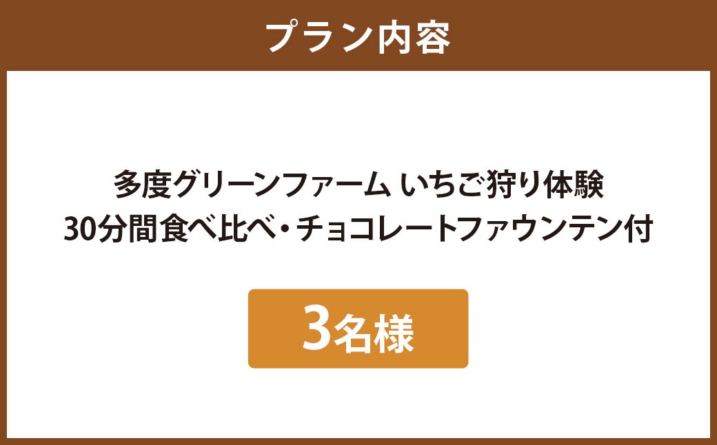 多度グリーンファーム いちご狩り体験 3名様 ／ 体験 経験 いちご狩り チョコレートファウンテン いちご イチゴ 苺