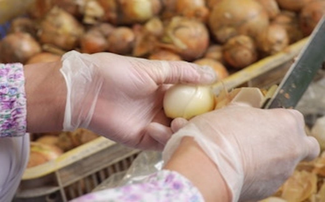 有機植物発酵エキスの酵素ドリンク 【Natural FLORA】 500ml×2本 有機野菜 野菜 有機果物 果物 33種類 酵素原液100％ 飲料 ドリンク 常温