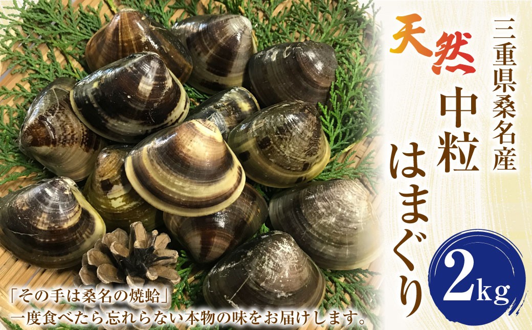 【指定日必須】マルヨシ水産 桑名産中粒天然蛤 2kg_はまぐり ハマグリ 魚介 貝 魚貝 活はまぐり 焼きはま 海鮮 網焼き 酒蒸し お吸い物 パエリア パスタ