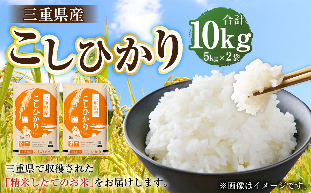 桑名米商 【令和7年産】 三重県産こしひかり 10kg（5kg×2袋） 【2026年7月下旬頃迄発送予定】