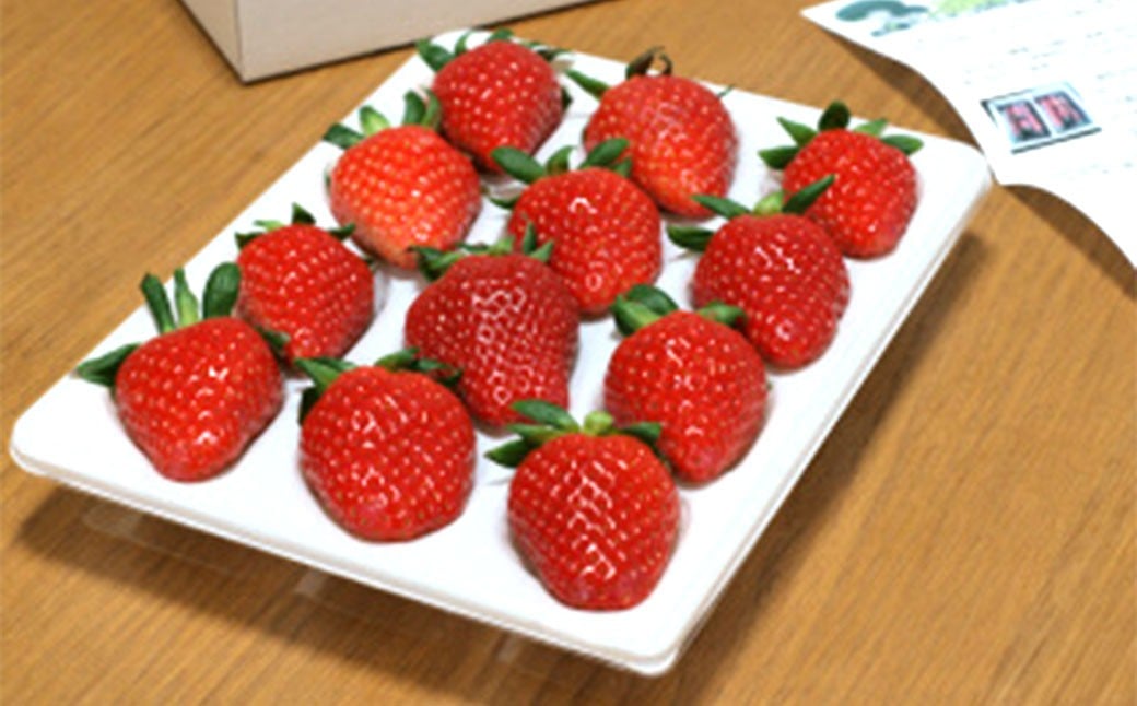 のらくら農園 大粒いちご 合計800g （400g×2ケース） 【指定日必須】 【2026年1月下旬～3月下旬迄発送予定】 ／ いちご イチゴ 苺 章姫 パック 果物 くだもの フルーツ 大粒 冷蔵 三重県 桑名市