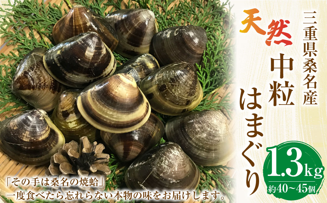 【指定日必須】【配送不可地域有】マルヨシ水産 桑名産中粒天然蛤 1.3kg（約40～45個）はまぐり ハマグリ 魚介 貝 魚貝 活はまぐり 焼きはま 海鮮 網焼き 酒蒸し お吸い物 パエリア パスタ