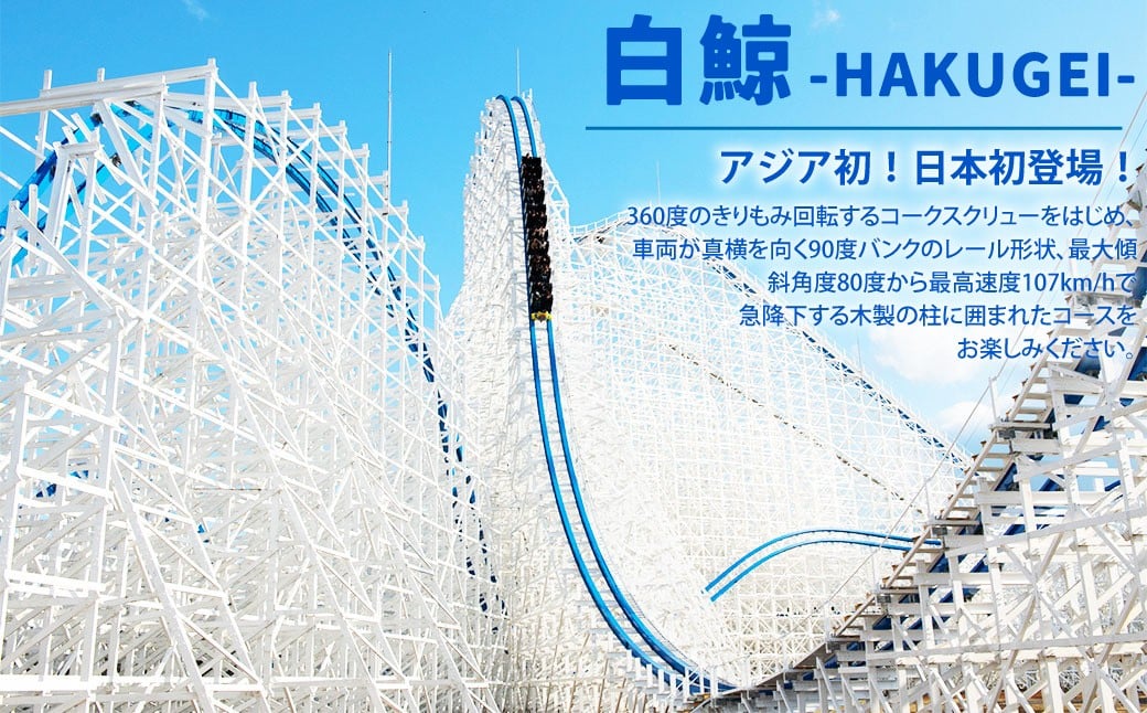 ナガシマ リゾート ナガシマ スパーランド パスポート券 大人1名 【有効期限有り】 遊園地 テーマパーク 人気 絶叫 アトラクション 観光 レジャー チケット 三重県 桑名市 長島