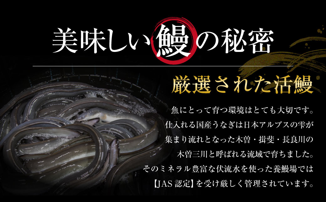 邇矩延闊域・ュ 譛ィ譖ス荳牙キ昴≧縺ェ縺主、ァ5莠コ蜑搾シ九″縺悶∩闥イ辟シ 魏サ 繧ヲ繝翫ぐ 闥イ辟シ 縺九ー辟シ 縺溘l 繧ソ繝ャ 蝨溽畑縺ョ荳 縺イ縺、縺セ縺カ縺 縺縺ェ驥