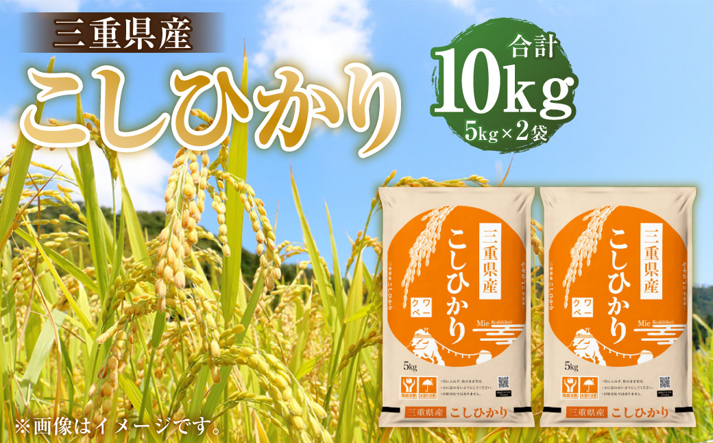 桑名米商 【令和7年産】 三重県産こしひかり 10kg（5kg×2袋） 【2026年7月下旬頃迄発送予定】