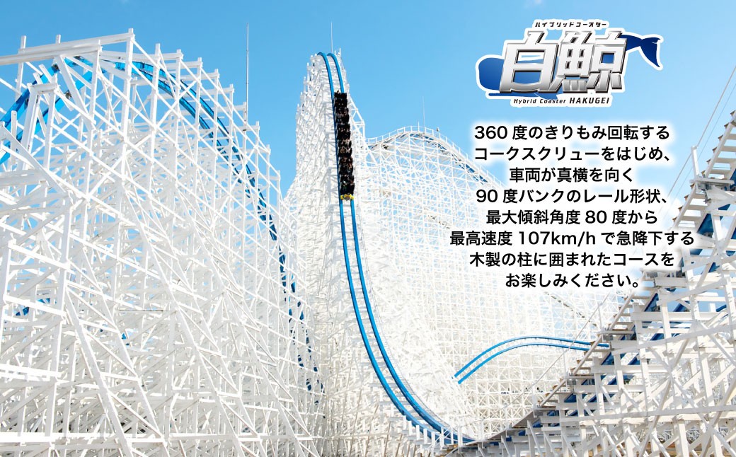 ナガシマリゾート ナガシマスパーランド入場券 および ジャンボ海水プール券（大人2名様分）【有効期限あり】【2026年7月上旬～8月下旬頃発送予定】ウォータースライダー ラフティング アトラクション 入場券 チケット 遊園地 ファミリー テーマパーク プール ウォーターエンターテイメント