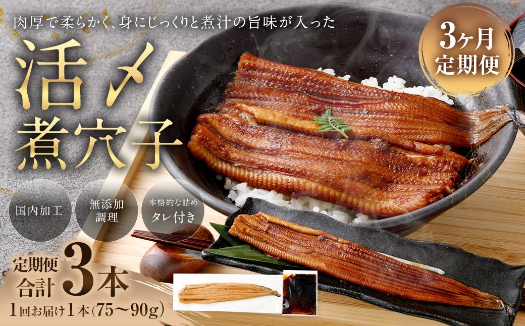 【 3ヶ月定期便 】 飯田商店 活〆煮穴子 一本 （ 75～90g × 1袋 ） タレ （ 50g ） 付 魚 魚類 お魚 穴子 アナゴ あなご 魚料理 冷凍 保存料不使用 着色料不使用 添加物不使用