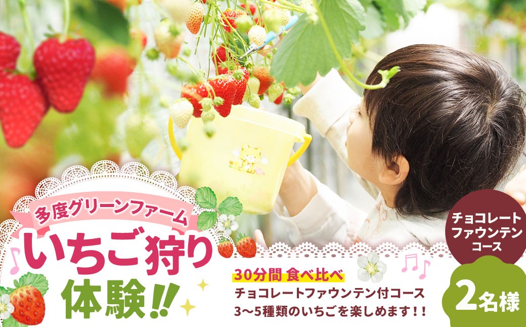 多度グリーンファーム いちご狩り体験 2名様 ／ 体験 経験 いちご狩り チョコレートファウンテン いちご イチゴ 苺