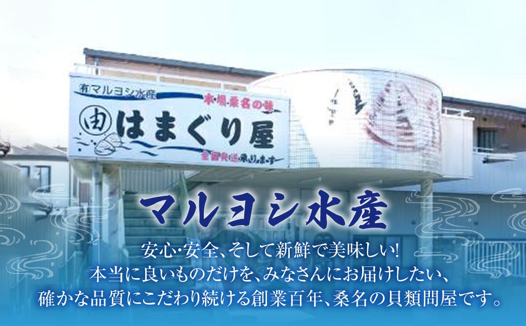 【指定日必須】【配送不可地域有】マルヨシ水産 桑名産中粒天然蛤 1.3kg（約40～45個）はまぐり ハマグリ 魚介 貝 魚貝 活はまぐり 焼きはま 海鮮 網焼き 酒蒸し お吸い物 パエリア パスタ