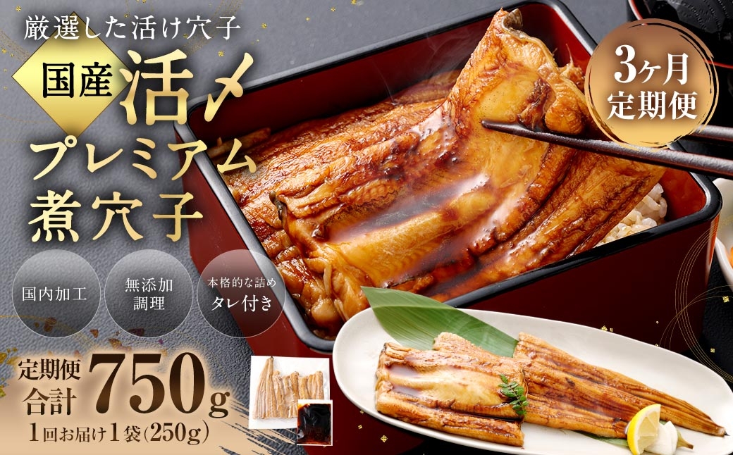 【 3ヶ月定期便 】 国産活〆 プレミアム煮穴子 250g （ 250g × 1袋 ） タレ （ 50g ） 付 魚 魚類 お魚 穴子 アナゴ あなご 魚料理 冷凍 保存料不使用 着色料不使用 添加物不使用