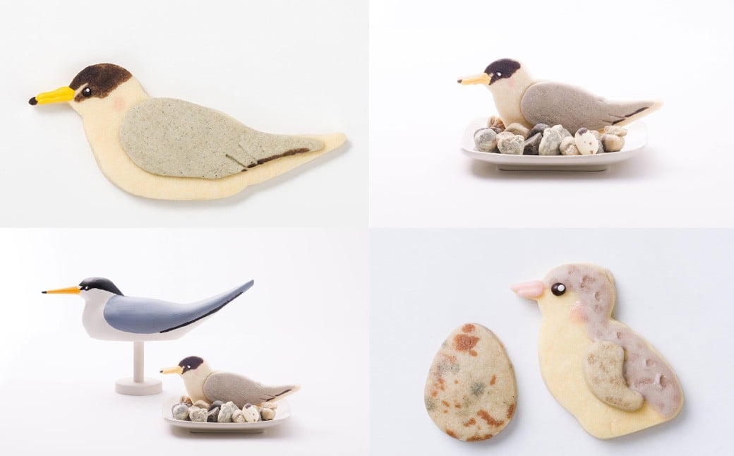 【卵不使用】【絶滅危惧種】 コアジサシ子育てセット クッキーアート ギフトセット クッキー 可愛い かわいい 焼き菓子 プレゼント 動物 どうぶつ 常温 鳥 野鳥 環境活動 三重県 桑名市