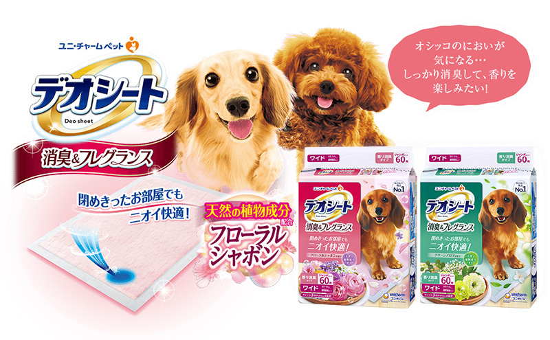 【期間限定】生活応援価格　デオシート 消臭&フレグランス グリーンアロマの香り ワイド 60枚×4