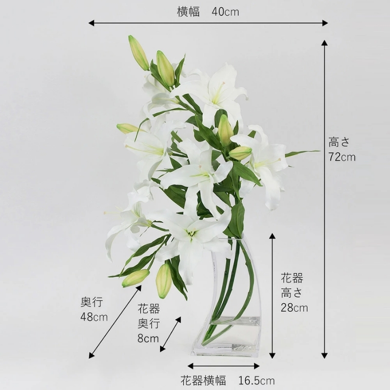 アートフラワー エミリオ・ロバ  カサブランカ5L TTNTA-93450