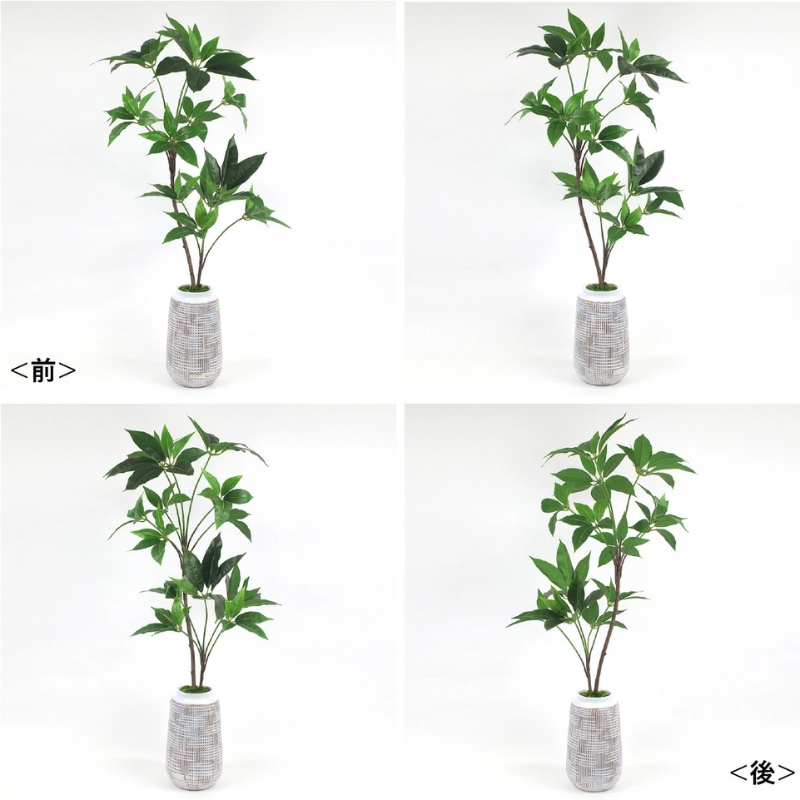 アートフラワー エミリオ・ロバ ツピタンサス TUTTA03350