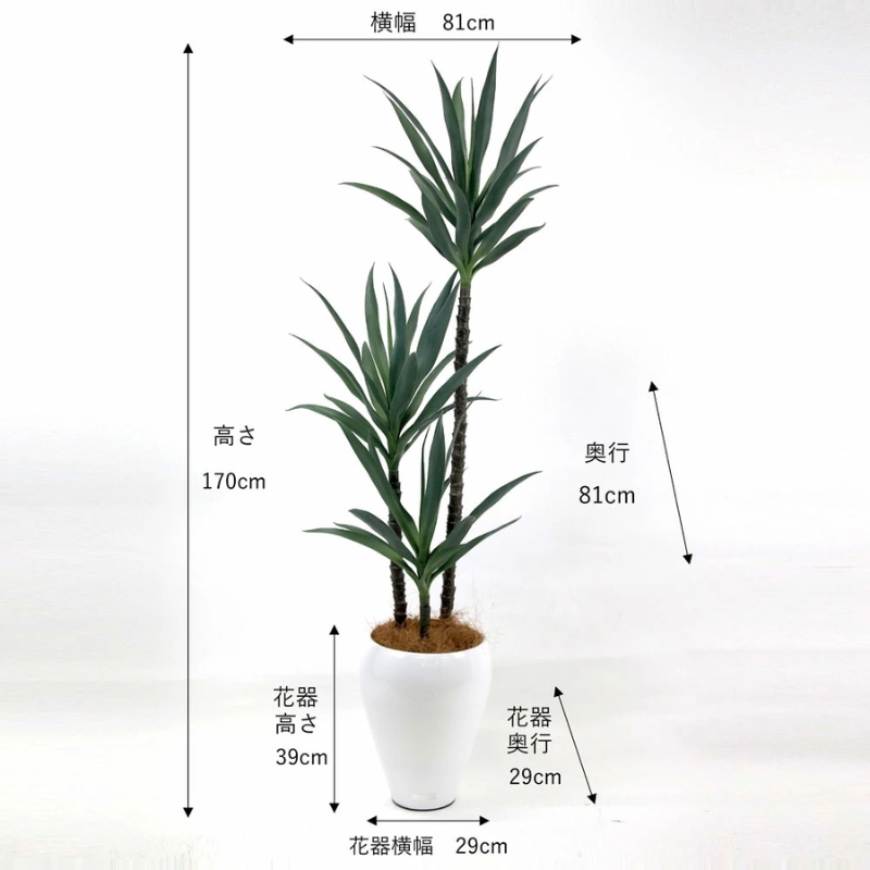 繧「繝シ繝医ヵ繝ゥ繝ッ繝シ 繧ィ繝溘Μ繧ェ繝サ繝ュ繝 繝ヲ繝繧ォ繝ゥ繝ウ TUTTA90550