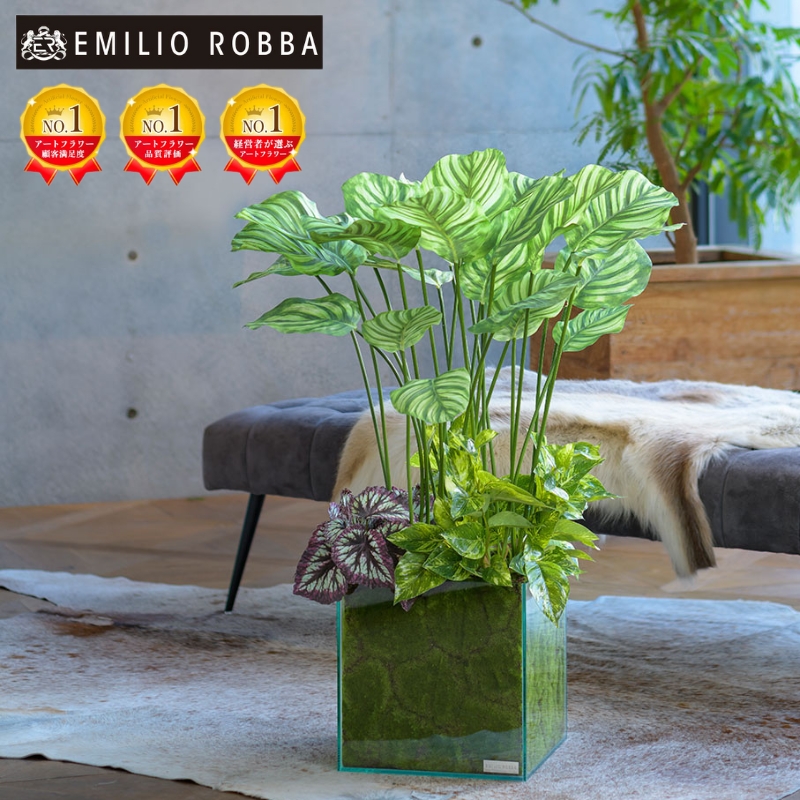 アートフラワー エミリオ・ロバ ギャザリングカラテア TTTTA06800