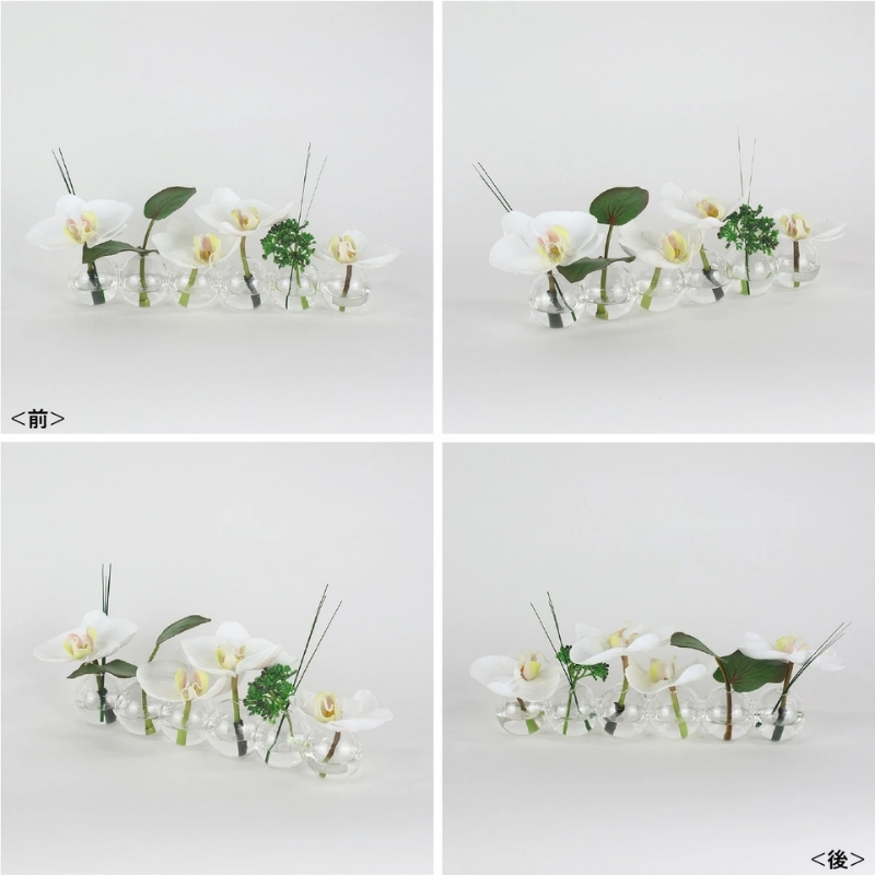 アートフラワー エミリオ・ロバ ファレノプシス6W TTNTA-03150