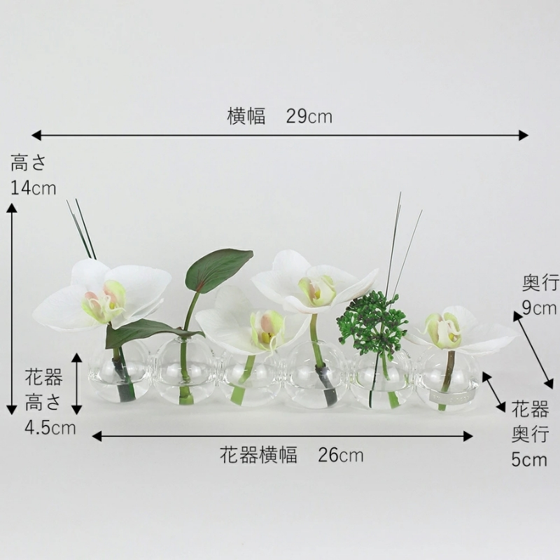 アートフラワー エミリオ・ロバ ファレノプシス6W TTNTA-03150