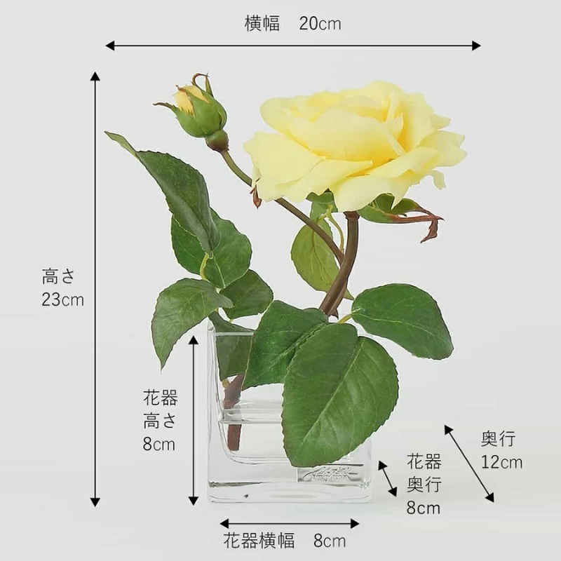 繧「繝シ繝医ヵ繝ゥ繝ッ繝シ 繧ィ繝溘Μ繧ェ繝サ繝ュ繝 繝励Μ繝槭Ο繝シ繧コye-XS TTNTA-32080