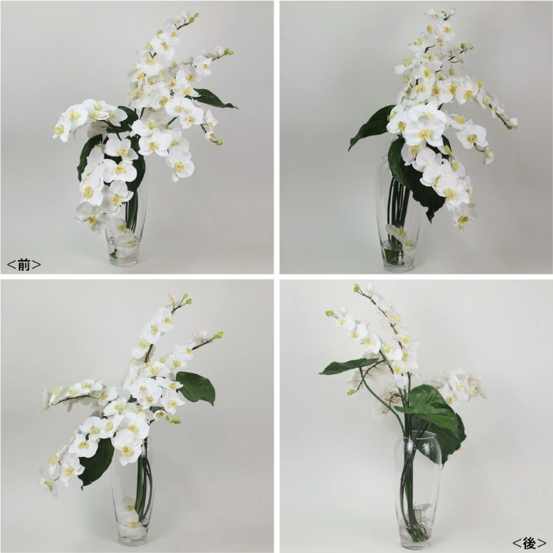 アートフラワー エミリオ・ロバ ファレノプシスXL TTNTA-53600