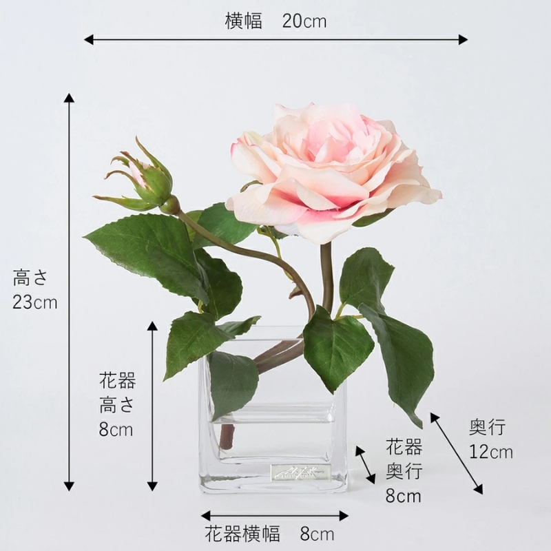 アートフラワー エミリオ・ロバ プリマローズpk-XS TTNTA62080