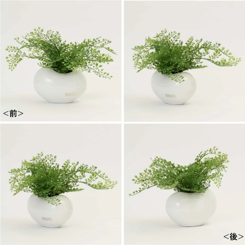 アートフラワー エミリオ・ロバ アジアンタム TTTTA03070