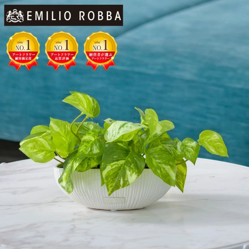 アートフラワー エミリオ・ロバ ポトスS TTTTA04070