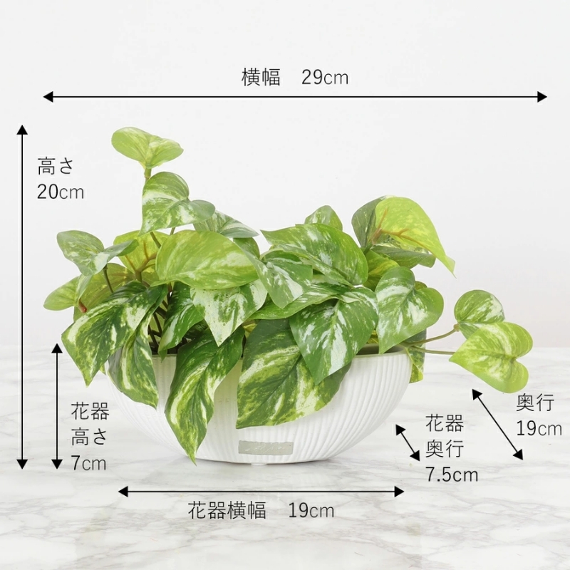 アートフラワー エミリオ・ロバ ポトスS TTTTA04070